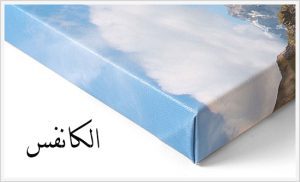 شجر ازرق & خلفيه بيضاء - Image 5